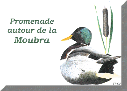 Une brochure pour faire le tour du lac de la Moubra avec les lves