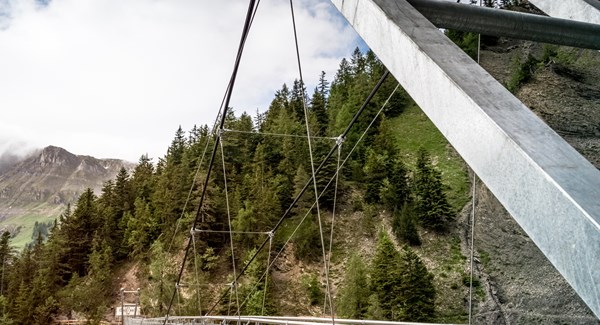 2020 Bisse Ro Passerelle 1000522 Cmtc David Carlier