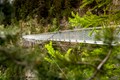 2020 Bisse Ro Passerelle 1000542 Cmtc David Carlier