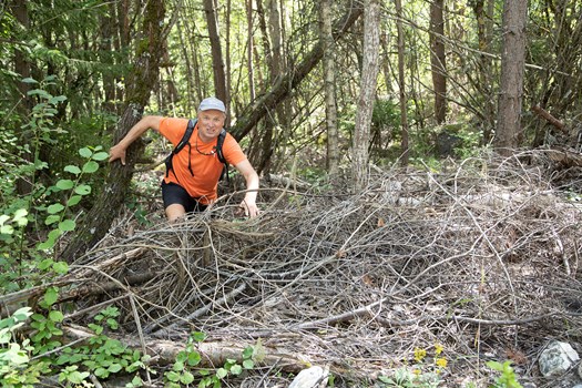 I Web Chemin Des Contrées A84i5096