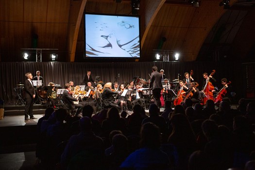 Concert familles Le Canard est toujours vivant 02.01.2020 @CMClassics Chab Lathion - Concert familles Le Canard est toujours vivant 02.01.2020 @CMClassics Chab Lathion