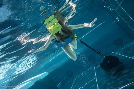 2021 Wxrforum Chetzeron Underwater Web C Thierrysermier 41