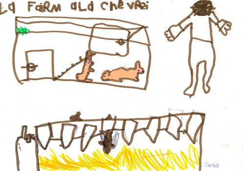 Dessin 28 Web