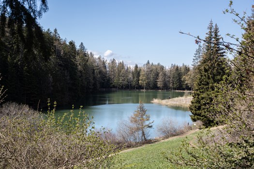 Lac Des Miriouges A84i5216 Resize