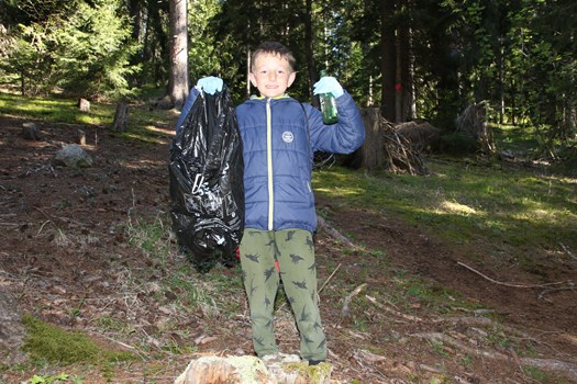 I Horsmurs Nettoyage Forêts4 Vetter Resize