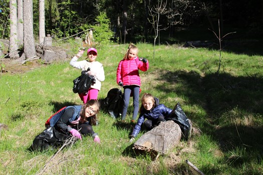 I Horsmurs Nettoyage Forêts6 Vetter Resize