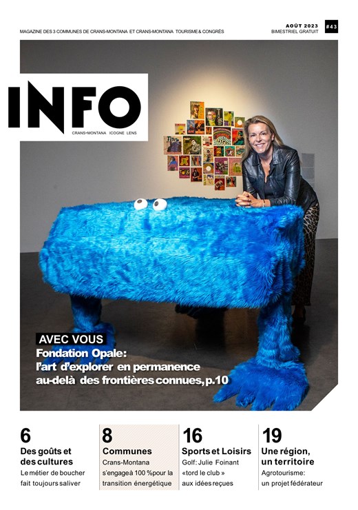 Info 43 Web 1
