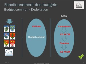 CSI RA Budget