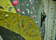 2015 Mur Grimpe Moubra Cf037774 Cmtc Photogenic Sedriknemeth Res